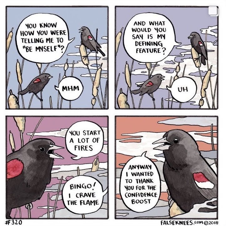 you know how you were telling me to be myself
mhm
and what would you say is my defining feature?
uh
you start a lot of fires
Bingo! i crave the flame
anyway I wanted to thank you for the confidence boost
falseknees