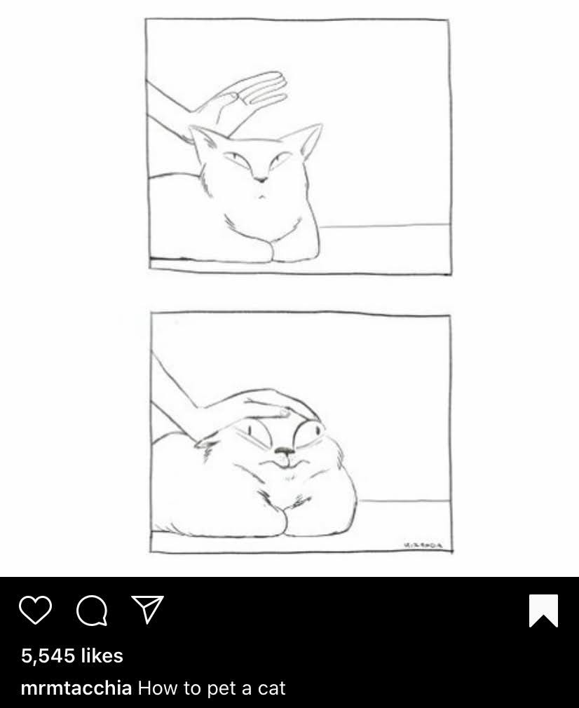 squish cat comic mrmtacchia