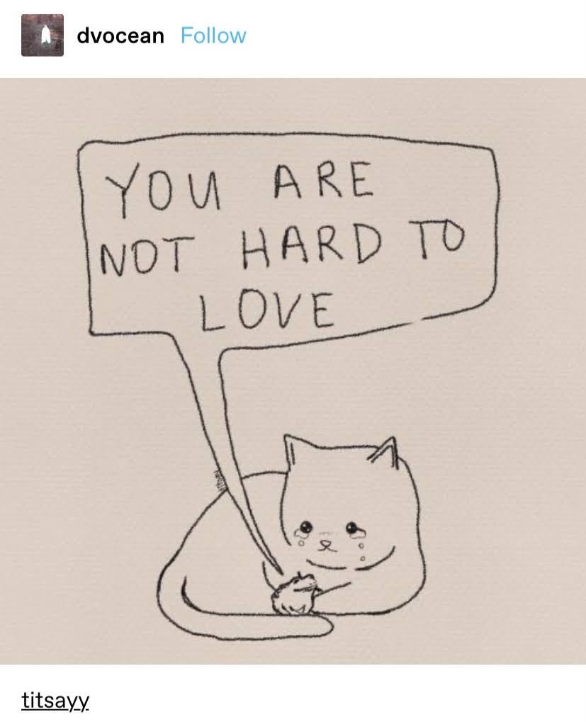 you are not hard to love cat and frog