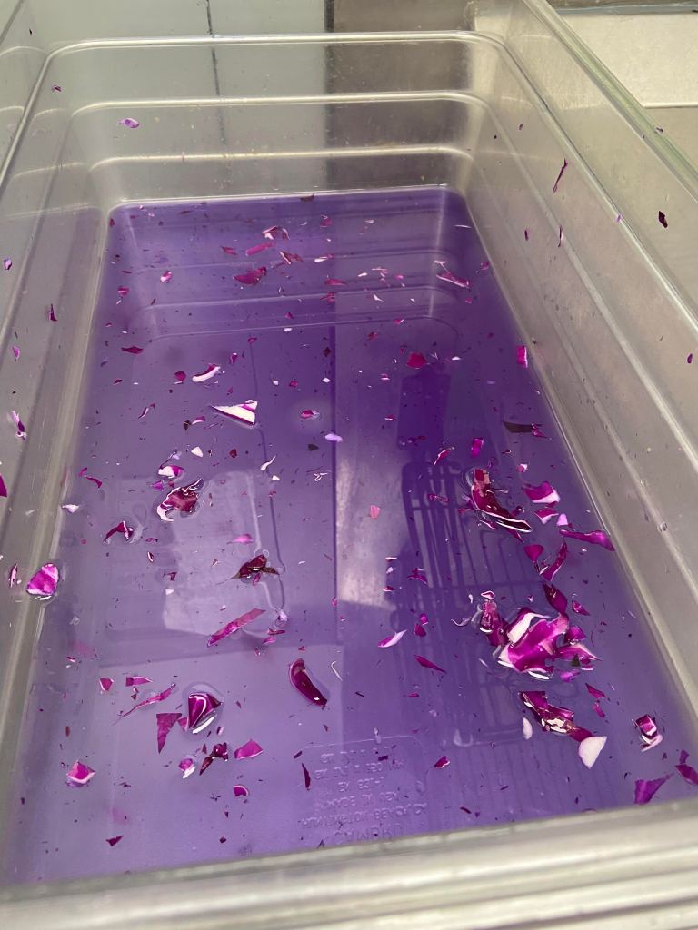 sweetgreen pan
cabbage