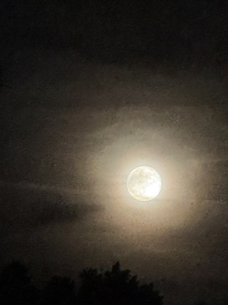 The moon at night