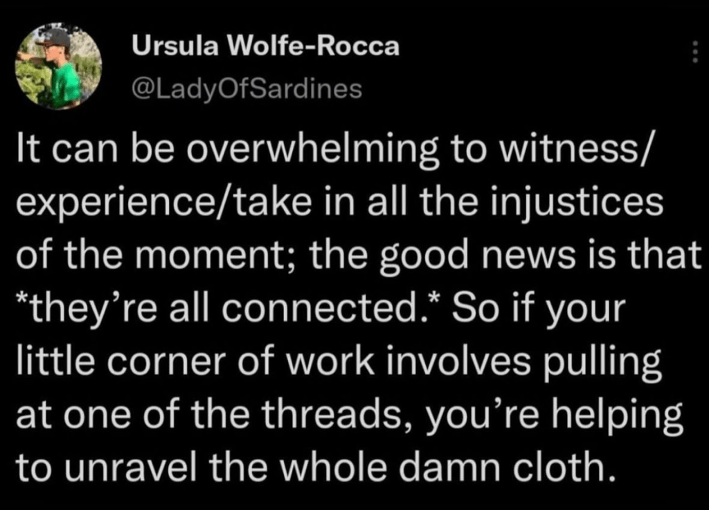 it can be overwhelming to witness/experience/take in all the injustices of the moment; the good news is that *they're all connected.* So if your little corner of work involves pulling at one of the threads, you're helping to unravel the whole damn cloth.
