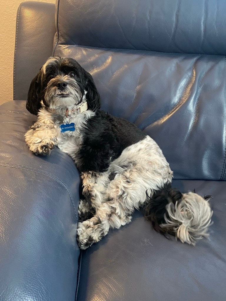 el vaquero sitting down with elbow up on couch