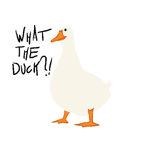 what the duck